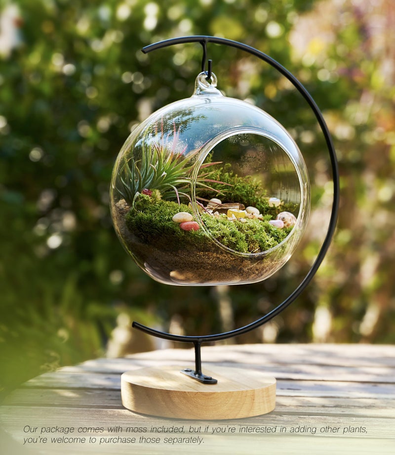 LUCKYRUNES 15-Piece Terrarium Kit with Live Moss - DIY Glass Globe Set with Tools  Soil  Stones & Spray Bottle - Indoor Mini Garden Gift for Plant Lovers  Home Decor & Zen Craft - Image 5